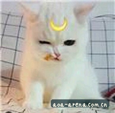 李翔
